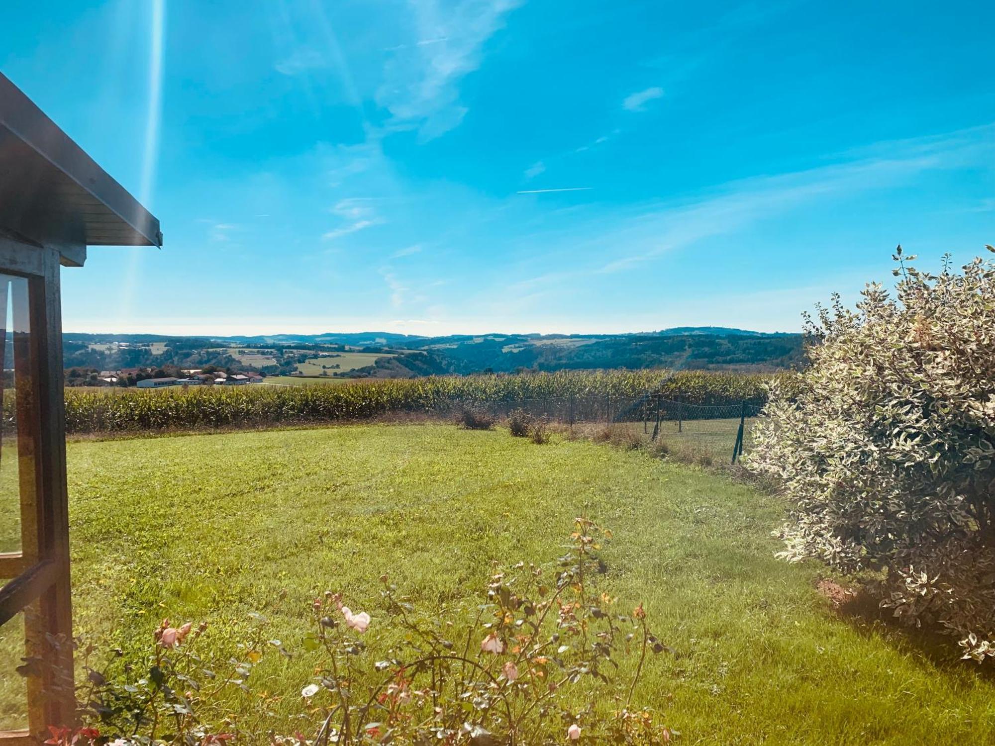 Adlerhorst, 4 Schlafzimmer, Blick In Die Alpen, Parkplatz Thyrnau Ngoại thất bức ảnh
